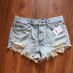 Free People size 27 Somerset Denim Shorts